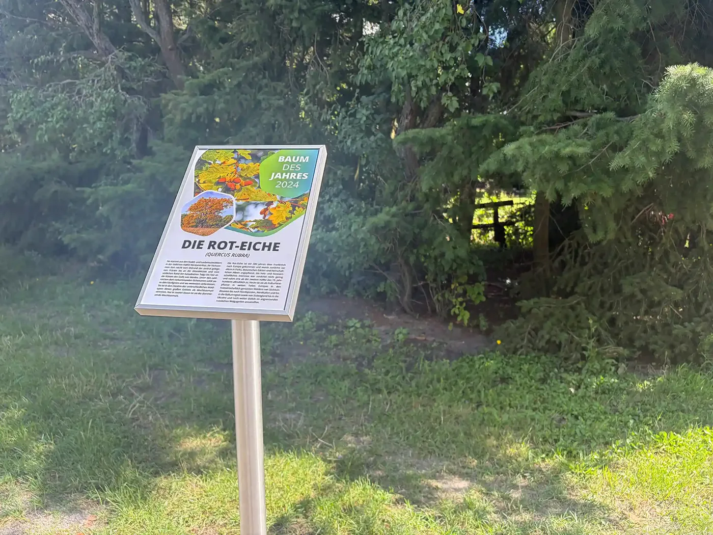 Edelstahl-Pultaufsteller mit Wechselrahmen in einer Parkanlage
