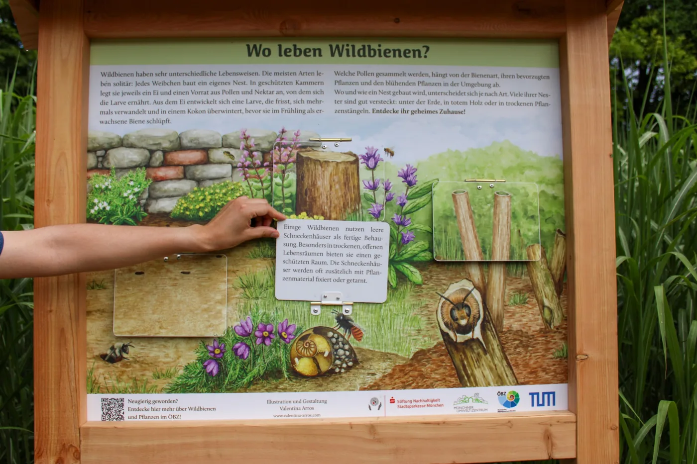 Interaktive Infotafel aus Holz mit aufklappbaren Elementen