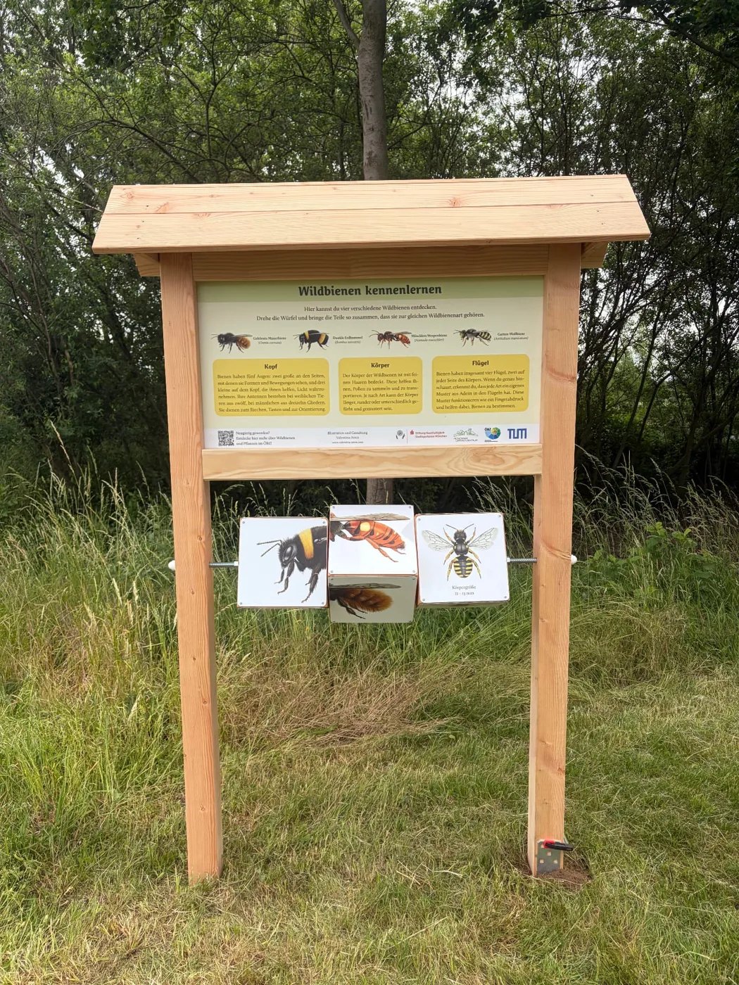 Holz-Infotafel mit Drehwürfeln zum Thema Wildbienen