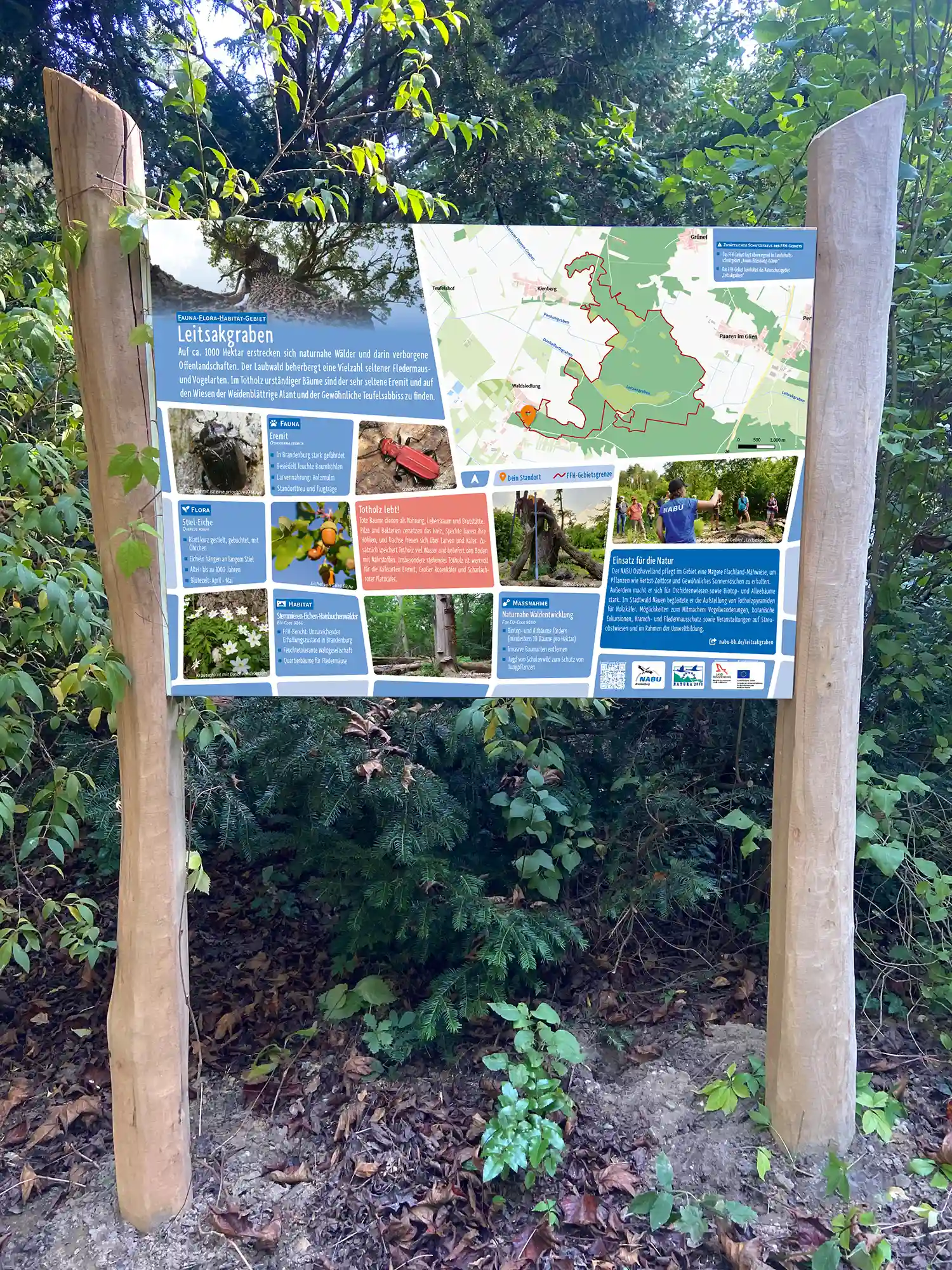 Nahaufnahme der Naturschutz-Infotafel am Robinien-Aufsteller