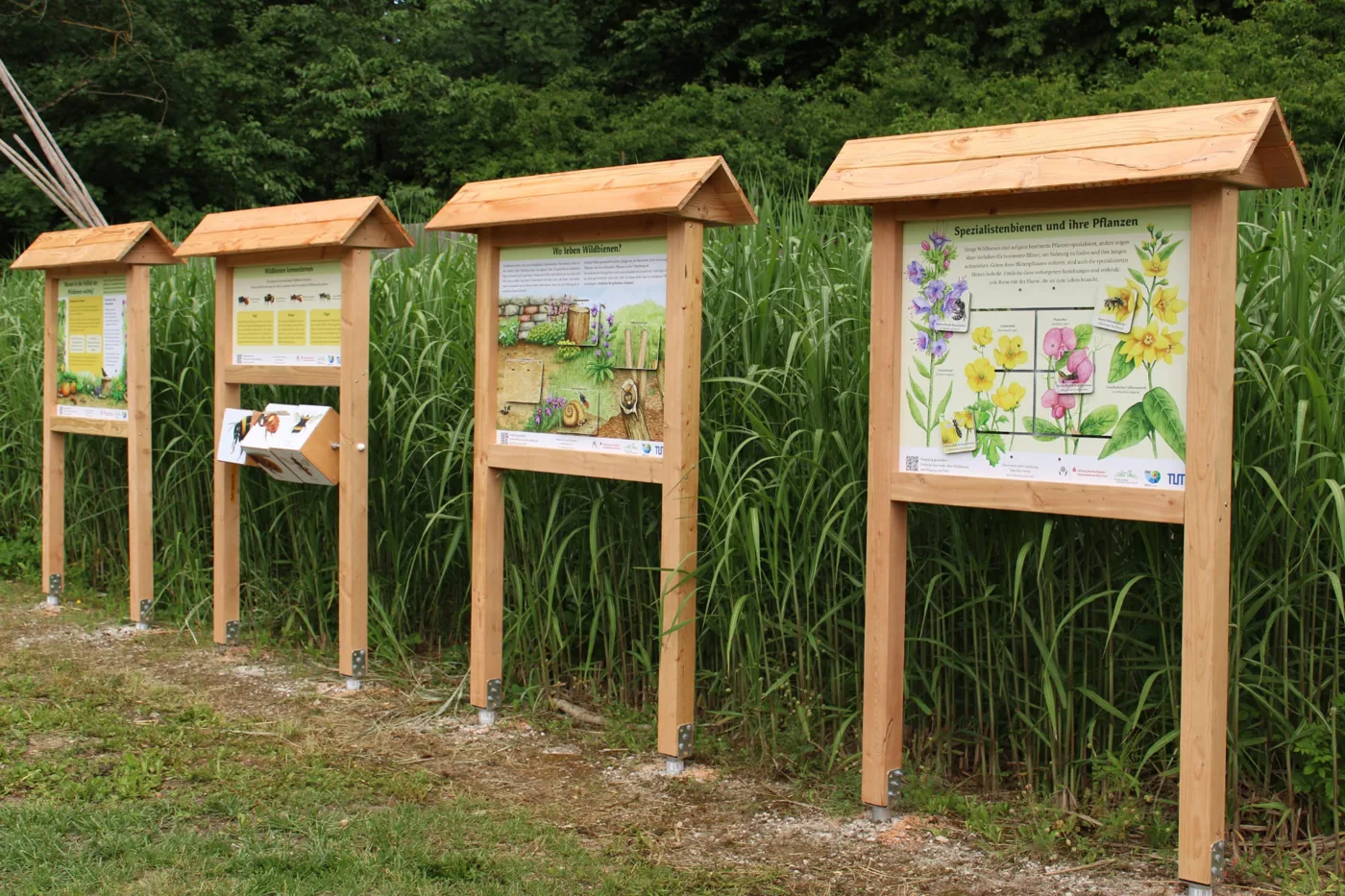 Reihe interaktiver Holz-Infotafeln an einem Lehrpfad