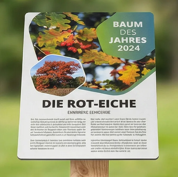 Frontansicht der Infotafel eines Holz-Pultaufstellers
