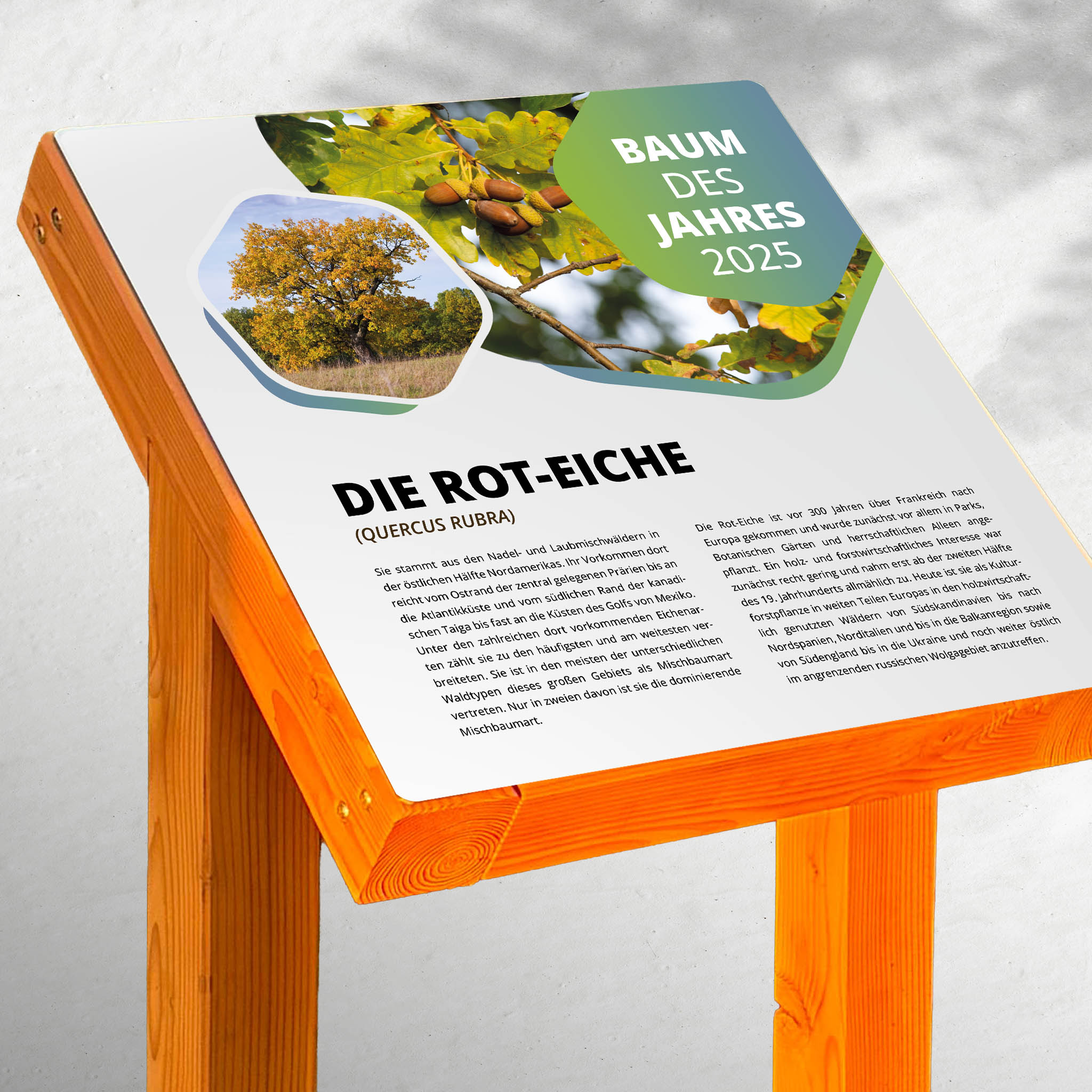 Pultaufsteller Holz "Zweibein"