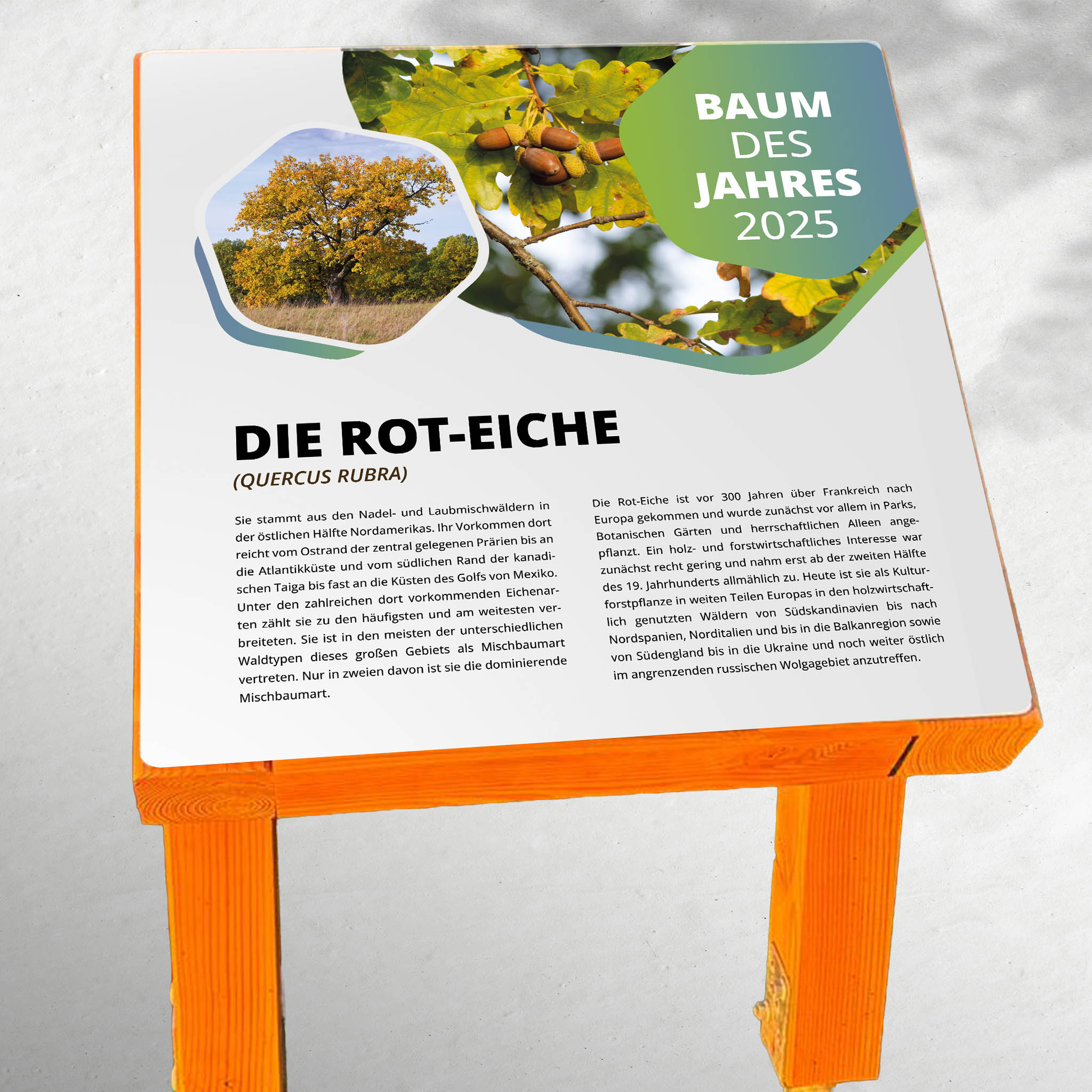 Pultaufsteller Holz "Zweibein"