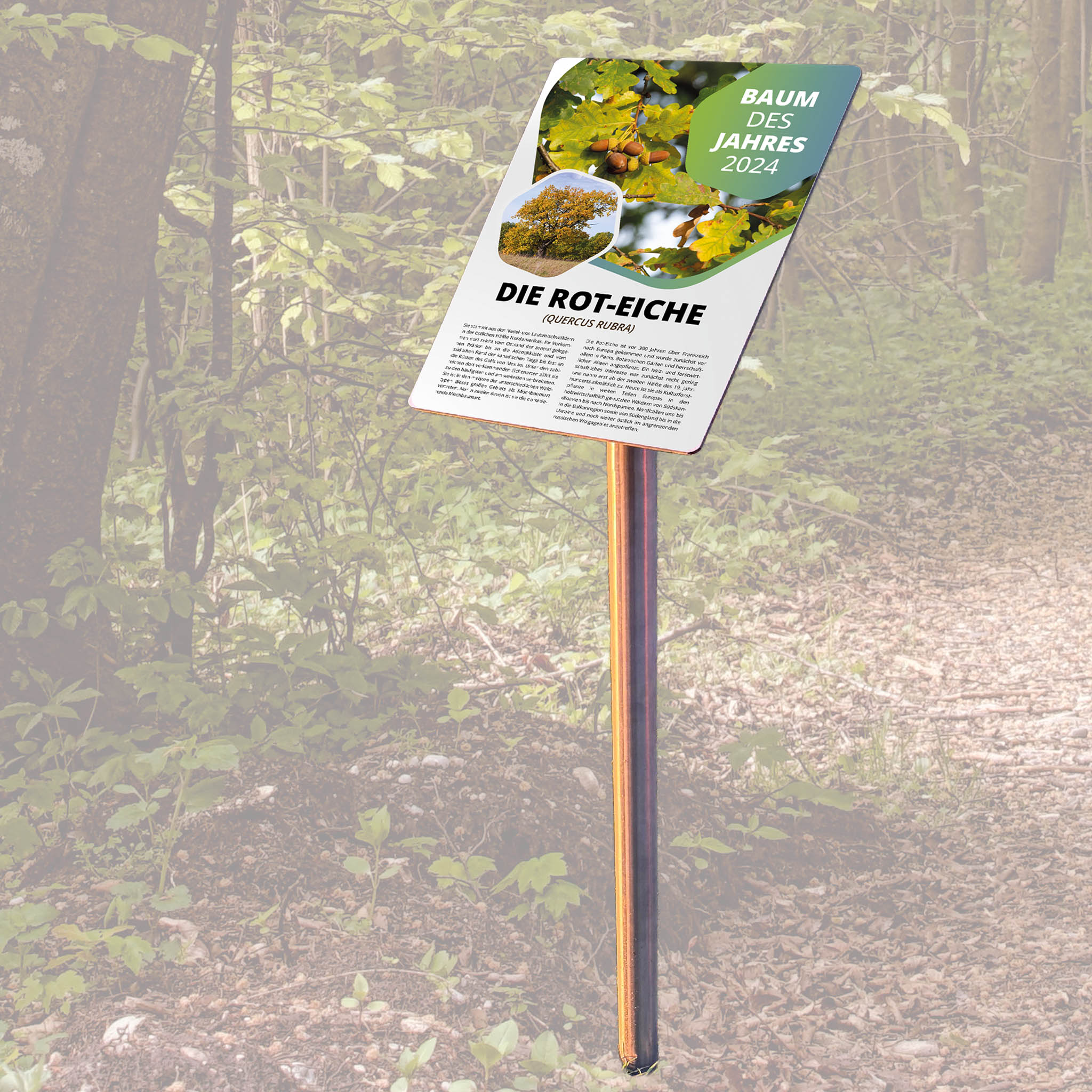 Pultaufsteller Edelstahl