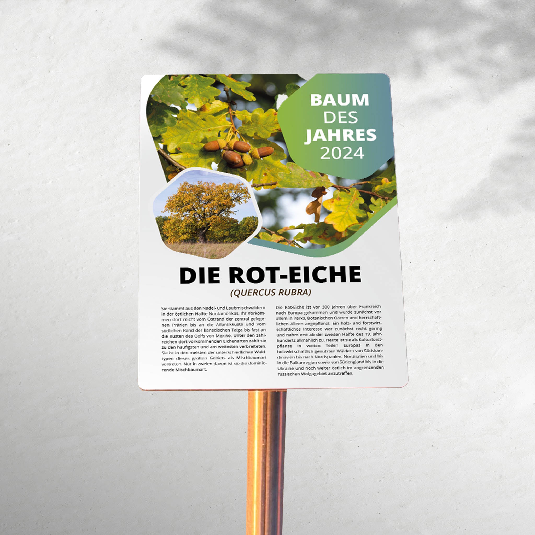 Pultaufsteller Edelstahl