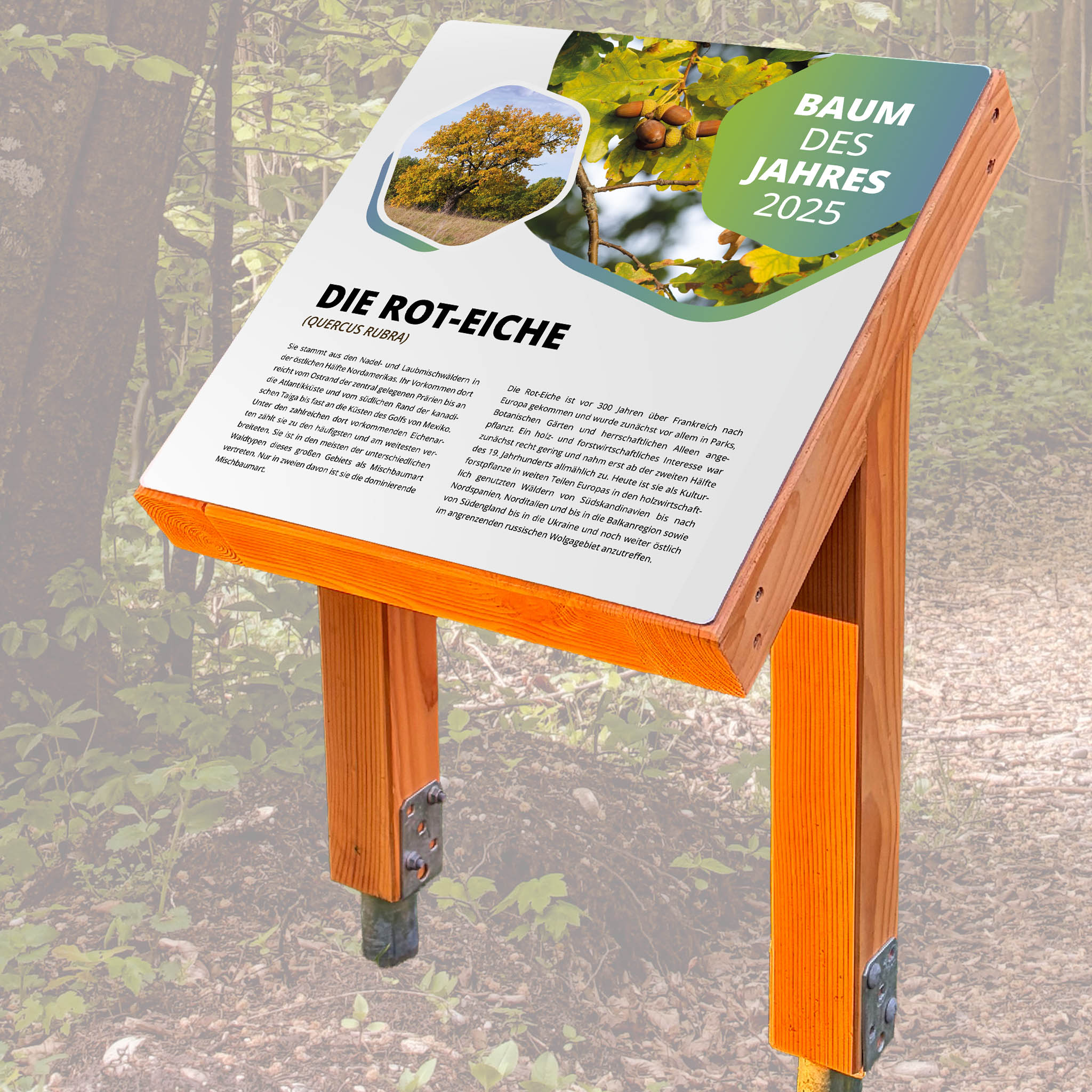 Pultaufsteller Holz "Zweibein"