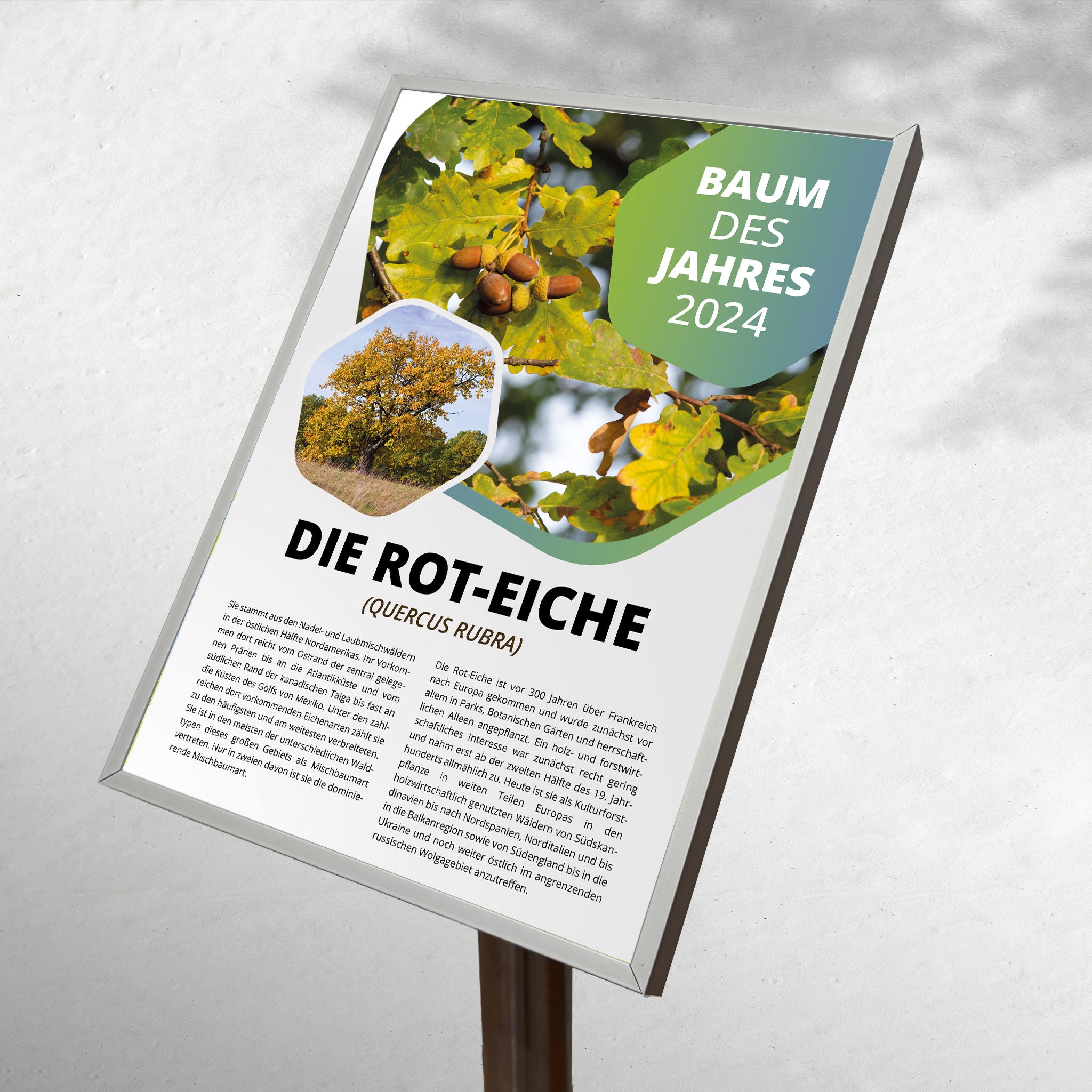 Pultaufsteller Edelstahl mit Wechselrahmen